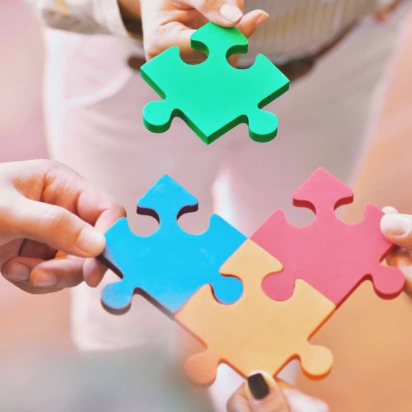 Afbeelding van puzzelstukken in de kleur van Disc profielen: Groen, rood, geel en blauw.